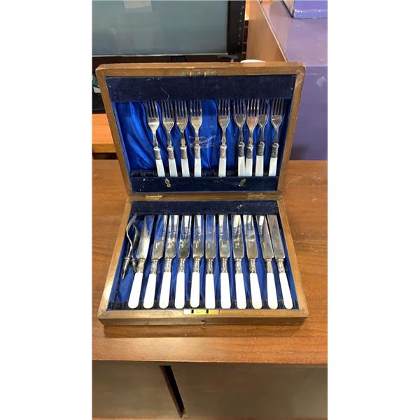 CUTLERY CANTEEN WITH FORKS AND KNIVES, SILVER PLATE WITH OPALESCENT HANDLES