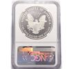 Image 2 : 1994-P American Silver Eagle NGC PF69 UC