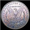 Image 2 : 1891-CC Morgan Silver Dollar UNCIRCULATED