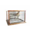Image 1 : Unusual Country Store Live Bird Cage Display