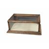 Image 1 : Small oak and glass counter top showcase