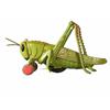 Image 1 : Metal Grass Hopper Pull Toy