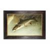 Print of Fish in original frame