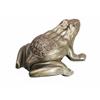 Image 1 : Frog Match Holder and striker