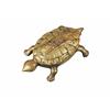 Image 1 : Turtle Match Holder and striker