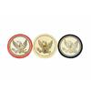 Image 1 : Three Eagle Ivory Poker Chips 