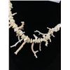 Image 2 : Genuine White/Angle Skin, Branch Coral Necklace