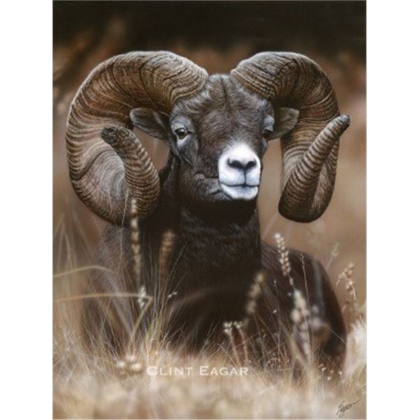 MOUNTAIN RAM by Clint Eagar, 2020 SCI Artist of the Year
