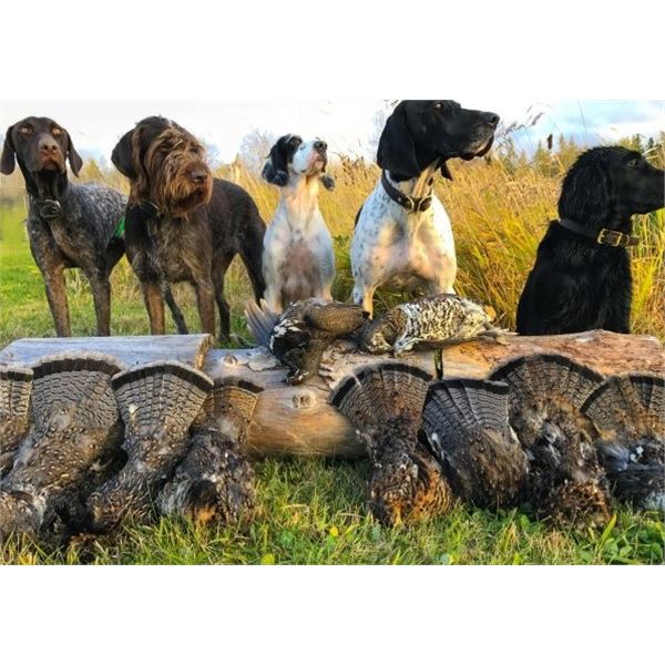 Ontario, Canada - 1 hunter for 5 days Duck and Grouse combo Hunt