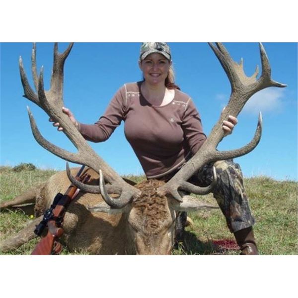 Waitomo Caves, North Island, New Zealand -  2 Hunters for 5 days/4 nights for Red Stag & Fallow Deer