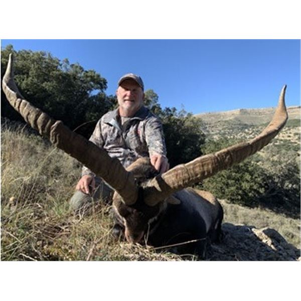 Spain - 2 Hunters for 3-day Beceite Ibex Hunt