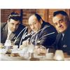Image 1 : The Sopranos James Gandolfini signed photo