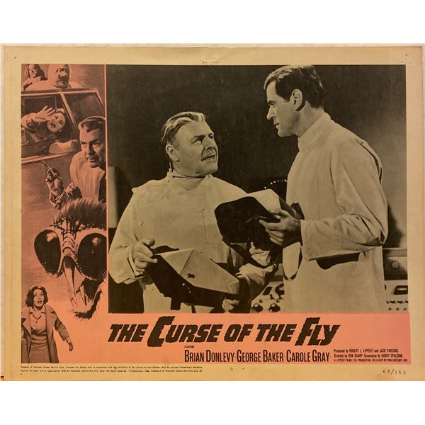 Curse of the Fly 1965 original vintage lobby card