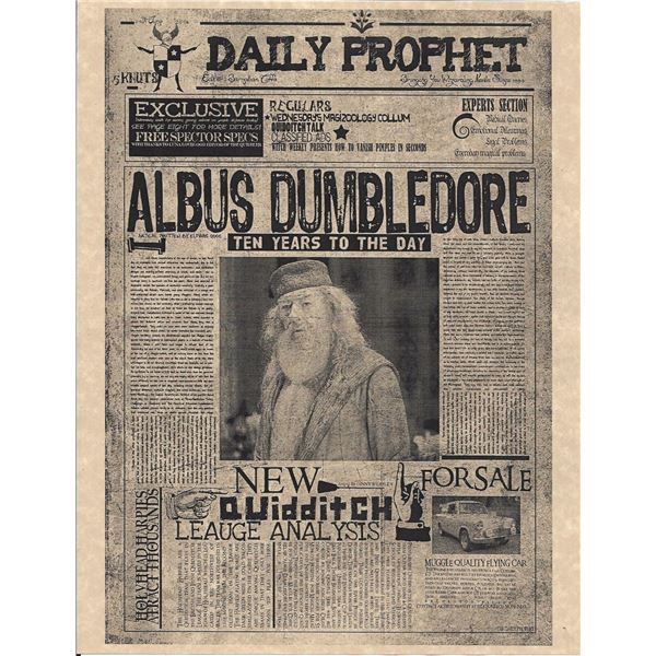 Harry Potter The Daily Prophet Flyer Print