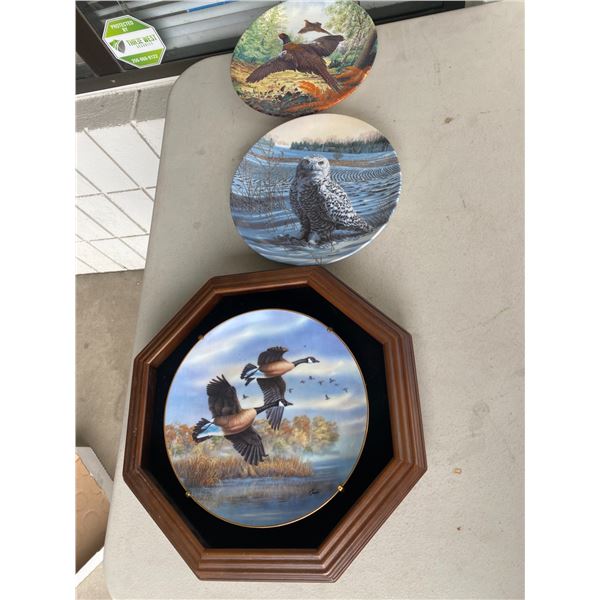 Collector plates