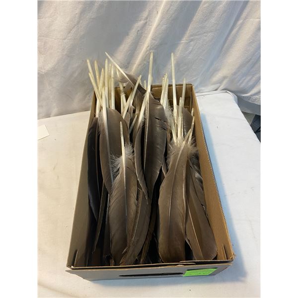Lot of feathers