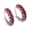 Image 1 : Natural Pigeon Blood Red Ruby Earrings