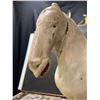 Image 6 : AMERICAN FOLK ART Wooden Horse 14.5h x 15L