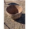 Image 1 : Early Apple Basket