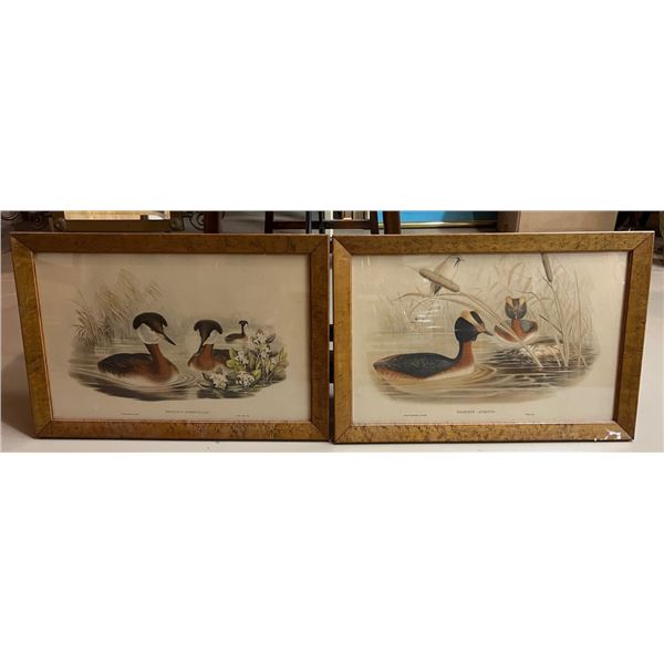 PALM BEACH ESTATE- (2) Wonderful WATERFOWL watercolors