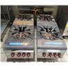 Image 1 : Qty 2 Wolf 2-Burner Gas Stock Pot Range 50"x18"