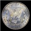 Image 3 : ***Auction Highlight*** 1878-p 8tf Morgan Dollar $1 Graded ms64 pl BY SEGS (fc)