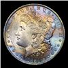 Image 2 : 1884-o Morgan Dollar $1 Grades GEM+ Unc