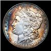 Image 2 : 1886-p Morgan Dollar $1 Grades Choice Unc