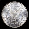 Image 3 : 1887-p Morgan Dollar VAM 12, Alligator Eye Top 100! $1 Graded ms64 By SEGS