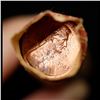 Image 2 : Shotgun Lincoln 1c roll, 1983-p 50 pcs Brandt Wrapper.