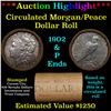 ***Auction Highlight*** Shotgun 1902 & 'P' Ends Mixed Morgan/Peace Silver dollar roll, 20 coin Carso