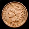 Image 2 : 1891 Indian Cent 1c Grades vf++