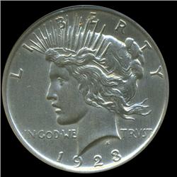1923 Peace Dollar Choice Matte Finish (COI-5603)