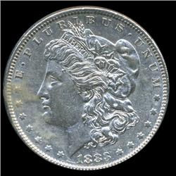 1883 Morgan Dollar Hi Grade (COI-5615)
