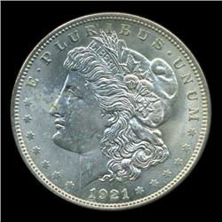 1921 Morgan Dollar GEM Unc RARE Variety (COI-5622)