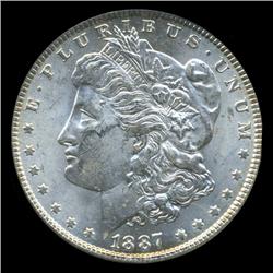 1887 Morgan Dollar Choice+ RARE Variety (COI-5630)