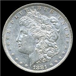 1881 Morgan Dollar Choice+ Unc Scarce Variety (COI-5636)