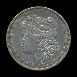 1880 Morgan Dollar Hi Grade (COI-5671)