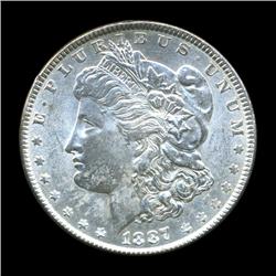 1887 Morgan Dollar Choice+ Unc (COI-5678)