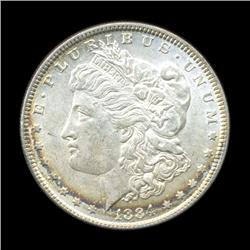 1884 Morgan Dollar Choice+ Unc RARE Variety (COI-5684)