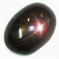 54ct Rare 100% Natural Black Star Diopside Gemstone (GEM-4704)