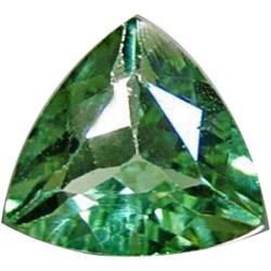1.5ct  Trillion Chrome Green  Apatite (GMR-0424)