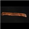 Image 4 : Proof Lincoln 1c roll, 2000-s 50 pcs