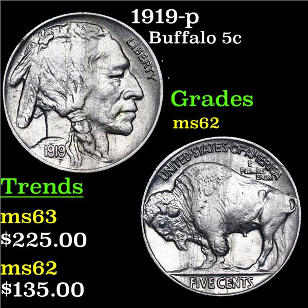 1919-p Buffalo Nickel 5c Grades Select Unc