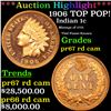 Image 1 : Proof ***Auction Highlight*** 1906 Indian Cent TOP POP! 1c Graded pr67 rd cam BY SEGS (fc)