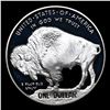Image 3 : Proof 2001-p Buffalo Modern Commem Dollar $1 Graded pr70 DCAM By SEGS