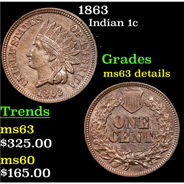 1863 Indian Cent 1c Grades Unc Details