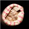 Image 2 : Shotgun Lincoln 1c roll, 1973-d 50 pcs Wrapper