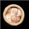 Image 2 : Shotgun Lincoln 1c roll, Cointainer Wrapper 1991-p 50 pcs