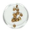Image 1 : Gold Nuggets 3.84 Grams Total Weight